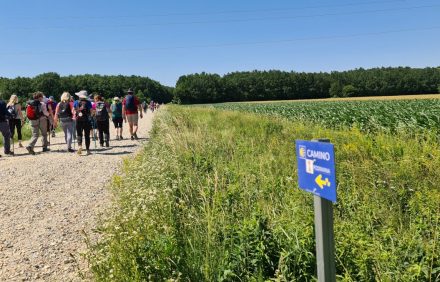 Camino Podravina vikend