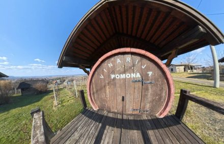 Vinarija Pomona – OPG Grudić